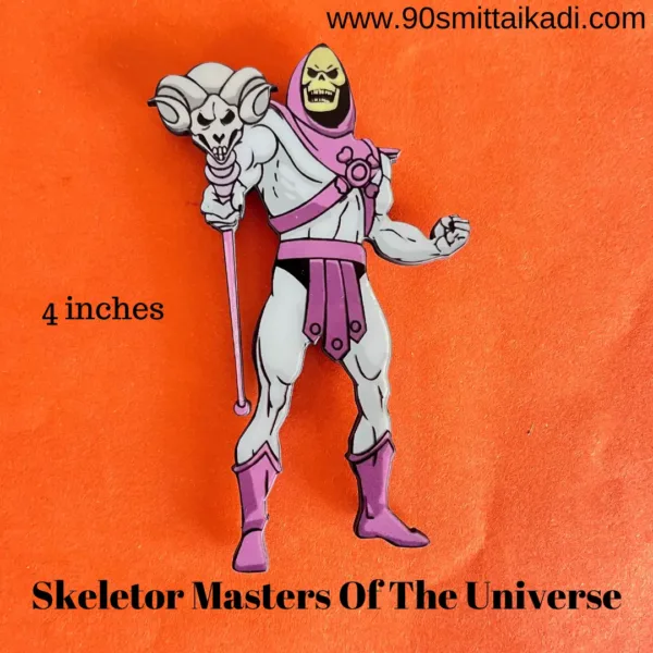 Skelector Master of Universe