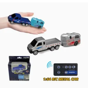 Mini RC Remote car