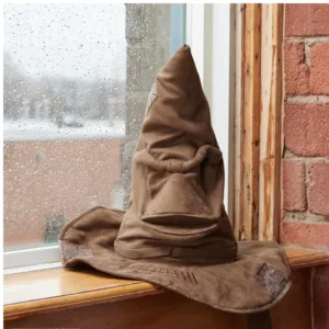 harry potter hat